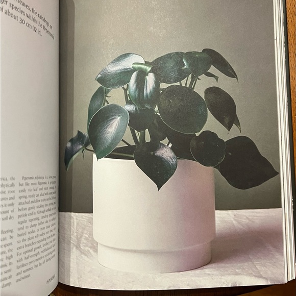 Plantopedia hardcover plant book (Phaidon) - Picture 7 of 9